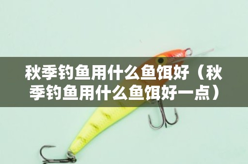 秋季钓鱼用什么鱼饵好（秋季钓鱼用什么鱼饵好一点）