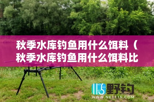 秋季水库钓鱼用什么饵料（秋季水库钓鱼用什么饵料比较好）