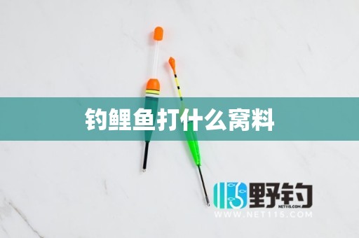 钓鲤鱼打什么窝料