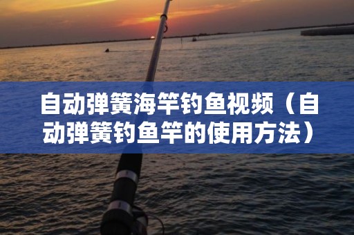 自动弹簧海竿钓鱼视频（自动弹簧钓鱼竿的使用方法）