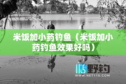 米饭加小药钓鱼（米饭加小药钓鱼效果好吗）