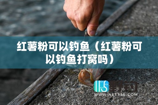 红薯粉可以钓鱼（红薯粉可以钓鱼打窝吗）