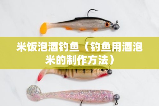 米饭泡酒钓鱼（钓鱼用酒泡米的制作方法）