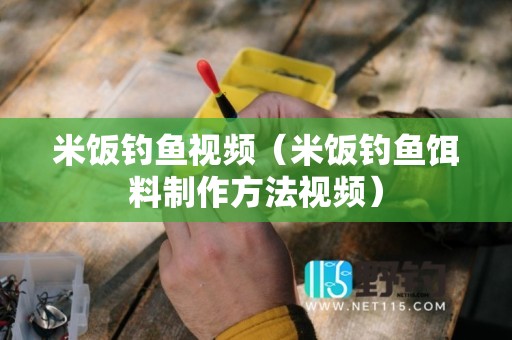 米饭钓鱼视频（米饭钓鱼饵料制作方法视频）