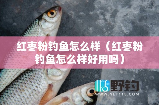 红枣粉钓鱼怎么样（红枣粉钓鱼怎么样好用吗）