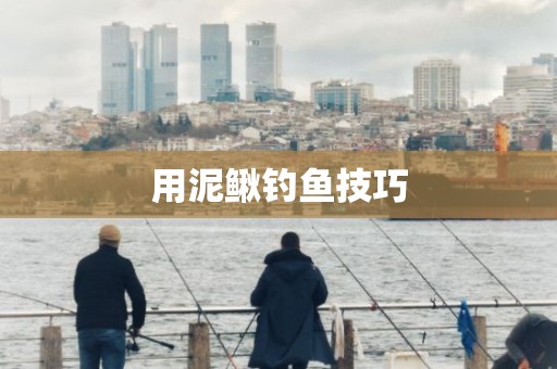 用泥鳅钓鱼技巧