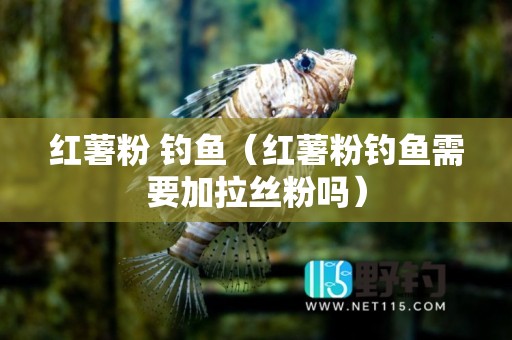 红薯粉 钓鱼（红薯粉钓鱼需要加拉丝粉吗）