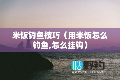 米饭钓鱼技巧（用米饭怎么钓鱼,怎么挂钩）