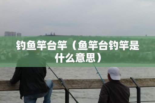 钓鱼竿台竿（鱼竿台钓竿是什么意思）