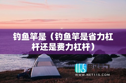 钓鱼竿是（钓鱼竿是省力杠杆还是费力杠杆）