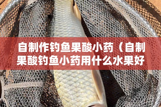 自制作钓鱼果酸小药（自制果酸钓鱼小药用什么水果好）