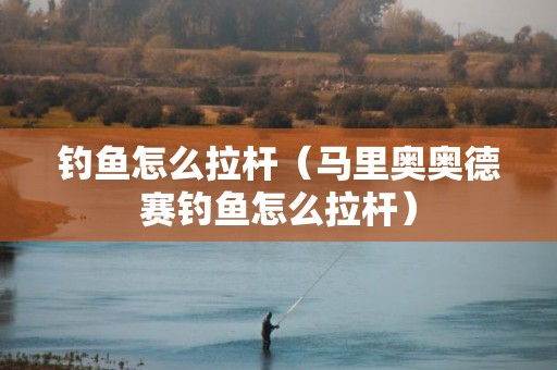 钓鱼怎么拉杆（马里奥奥德赛钓鱼怎么拉杆）