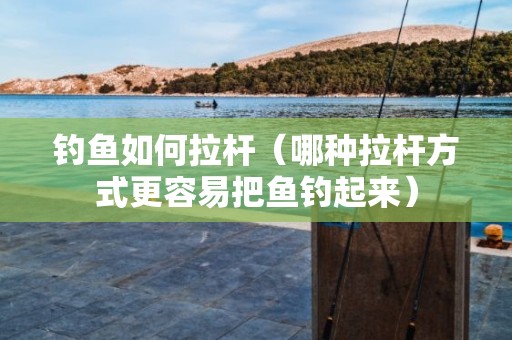 钓鱼如何拉杆（哪种拉杆方式更容易把鱼钓起来）