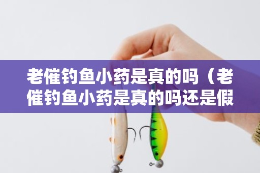 老催钓鱼小药是真的吗（老催钓鱼小药是真的吗还是假的）