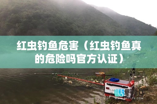 红虫钓鱼危害（红虫钓鱼真的危险吗官方认证）