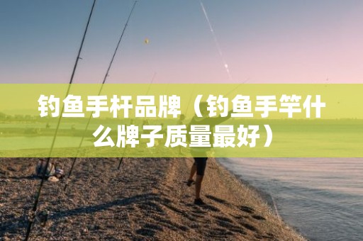 钓鱼手杆品牌（钓鱼手竿什么牌子质量最好）