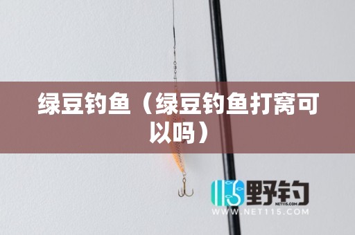绿豆钓鱼（绿豆钓鱼打窝可以吗）