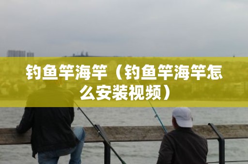 钓鱼竿海竿（钓鱼竿海竿怎么安装视频）
