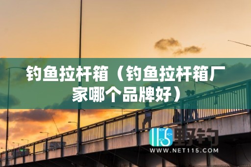 钓鱼拉杆箱（钓鱼拉杆箱厂家哪个品牌好）