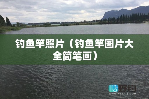 钓鱼竿照片（钓鱼竿图片大全简笔画）