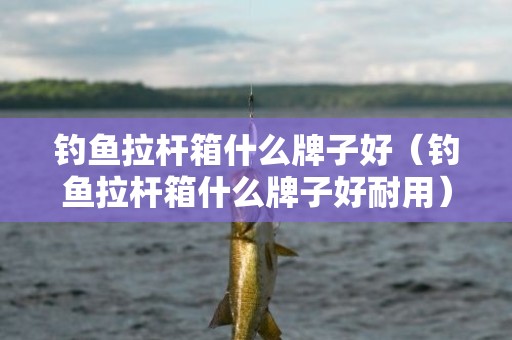 钓鱼拉杆箱什么牌子好（钓鱼拉杆箱什么牌子好耐用）