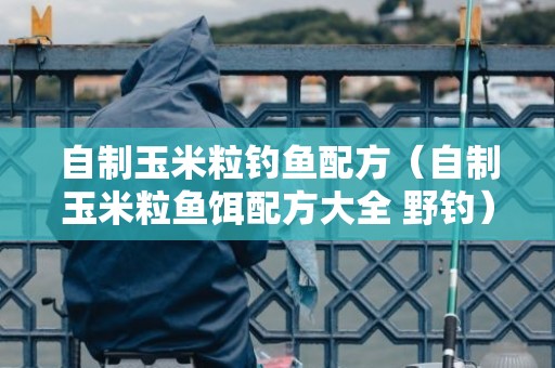 自制玉米粒钓鱼配方（自制玉米粒鱼饵配方大全 野钓）
