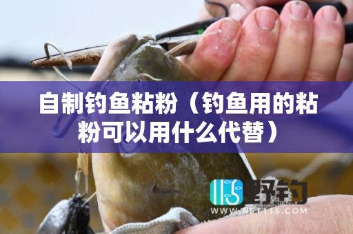 自制钓鱼粘粉（钓鱼用的粘粉可以用什么代替）