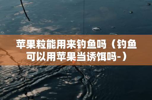 苹果粒能用来钓鱼吗（钓鱼可以用苹果当诱饵吗-）