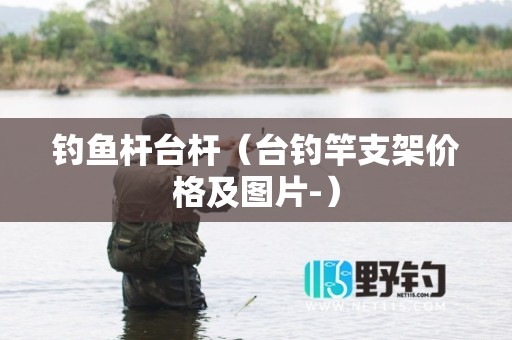钓鱼杆台杆（台钓竿支架价格及图片-）
