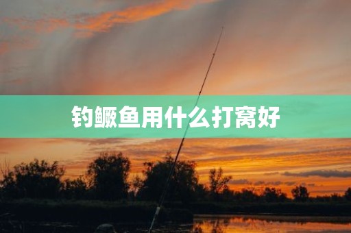 钓鳜鱼用什么打窝好