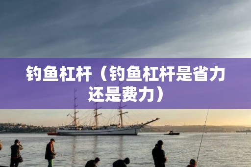 钓鱼杠杆（钓鱼杠杆是省力还是费力）