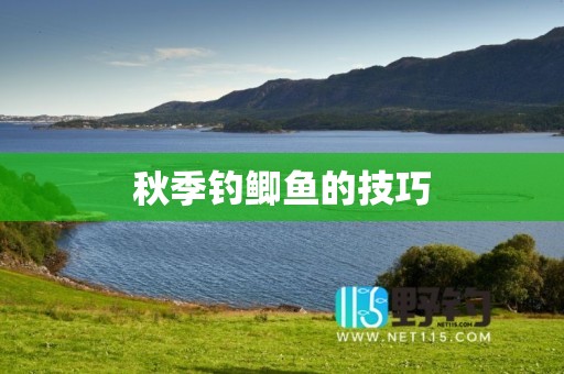 秋季钓鲫鱼的技巧