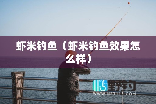 虾米钓鱼（虾米钓鱼效果怎么样）