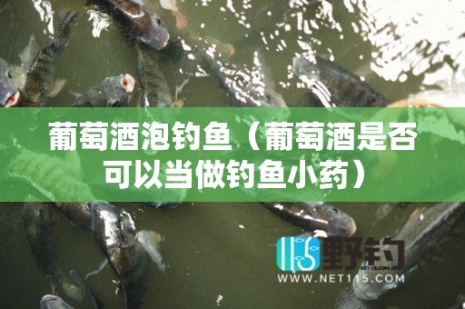 葡萄酒泡钓鱼（葡萄酒是否可以当做钓鱼小药）