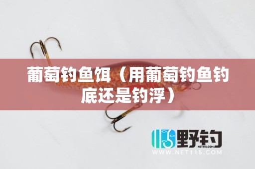 葡萄钓鱼饵（用葡萄钓鱼钓底还是钓浮）