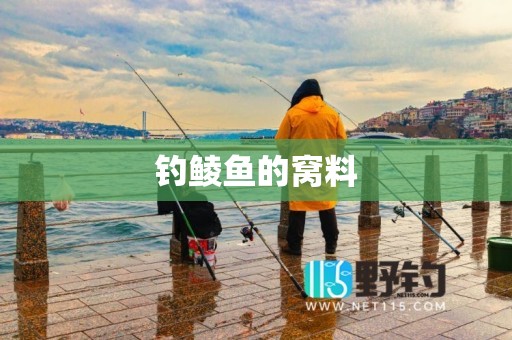 钓鲮鱼的窝料
