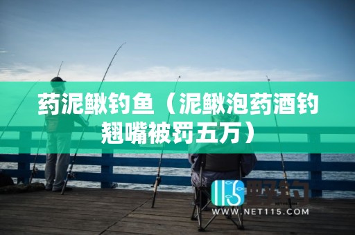 药泥鳅钓鱼（泥鳅泡药酒钓翘嘴被罚五万）