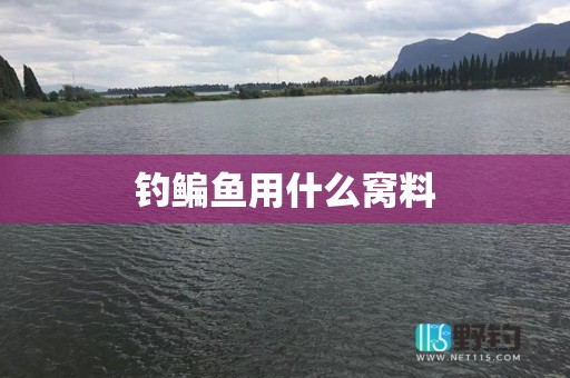 钓鳊鱼用什么窝料