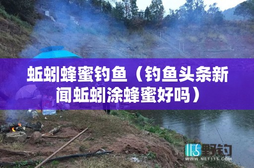 蚯蚓蜂蜜钓鱼（钓鱼头条新闻蚯蚓涂蜂蜜好吗）