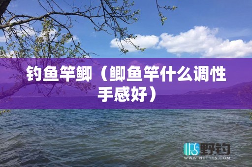 钓鱼竿鲫（鲫鱼竿什么调性手感好）