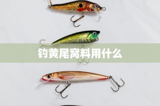 钓黄尾窝料用什么