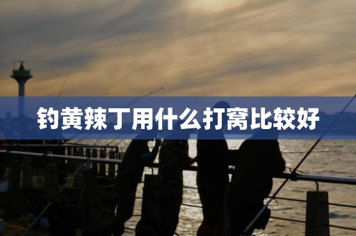 钓黄辣丁用什么打窝比较好