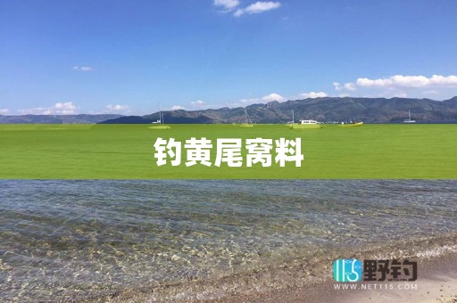 钓黄尾窝料