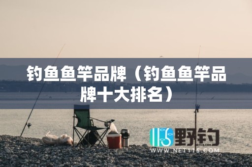钓鱼鱼竿品牌（钓鱼鱼竿品牌十大排名）