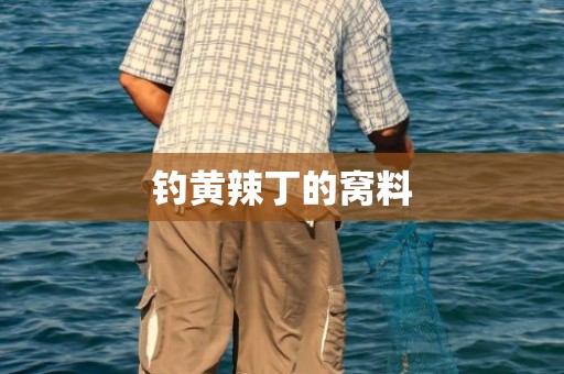 钓黄辣丁的窝料