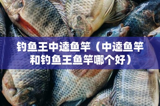钓鱼王中逵鱼竿（中逵鱼竿和钓鱼王鱼竿哪个好）