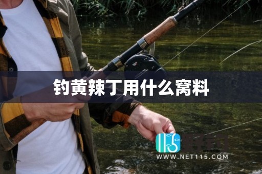 钓黄辣丁用什么窝料