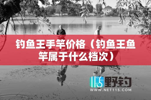 钓鱼王手竿价格（钓鱼王鱼竿属于什么档次）