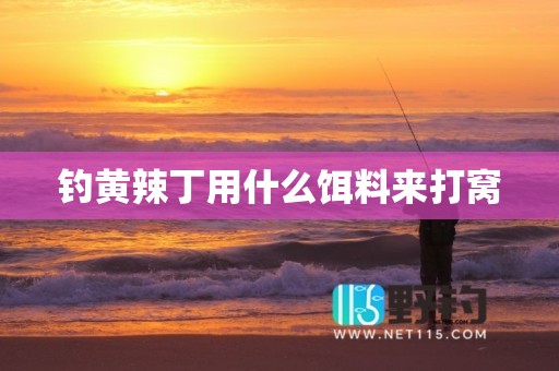 钓黄辣丁用什么饵料来打窝