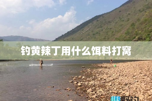 钓黄辣丁用什么饵料打窝